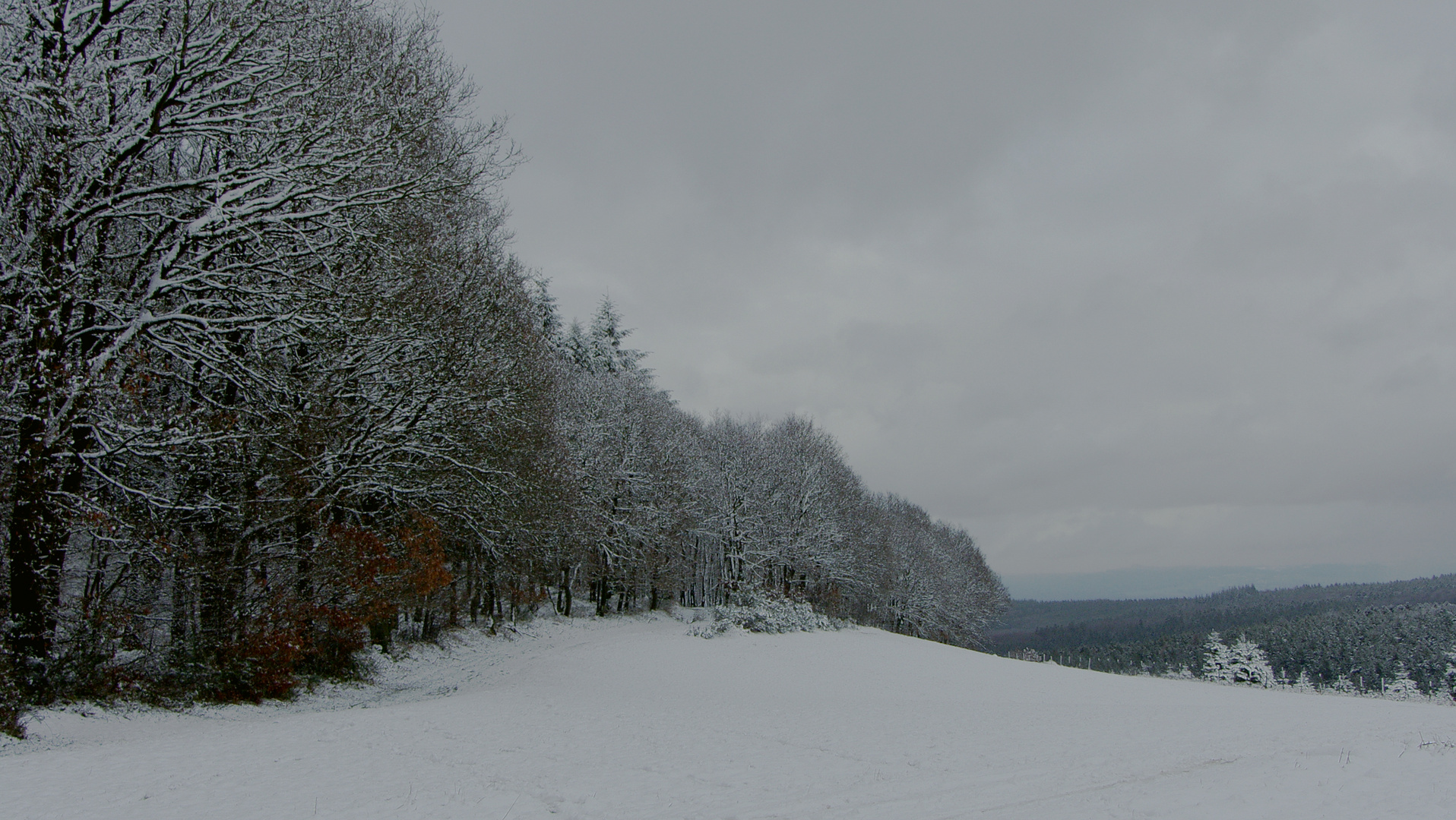  Ohne Sonne, ist alles grau.....!  Und ein Foto Motivvergleich, mit „Himmelsblau“...)