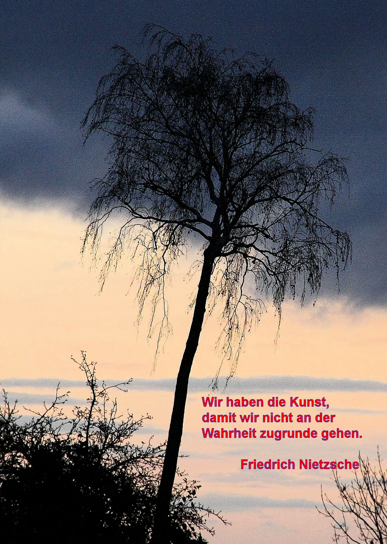 Ohne Titel