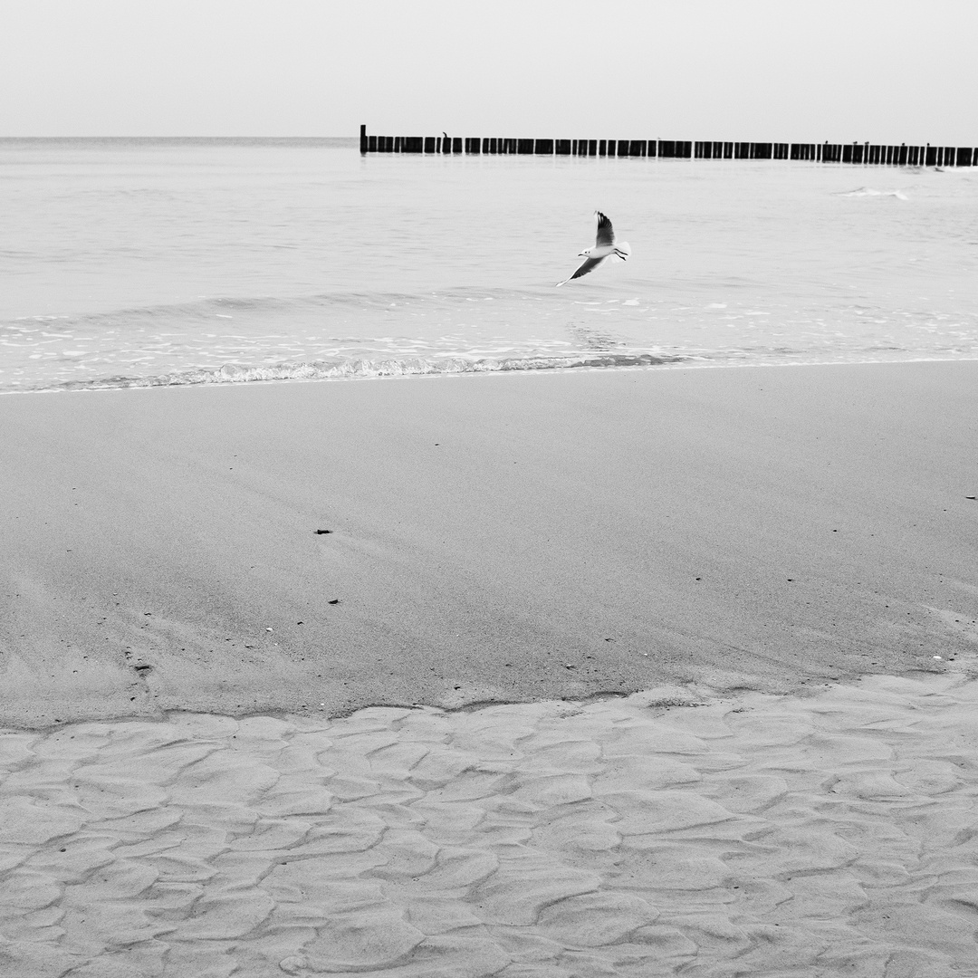 Ohne Titel Foto & Bild | landschaft, meer & strand ...