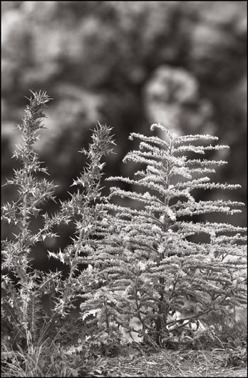 Ohne Titel