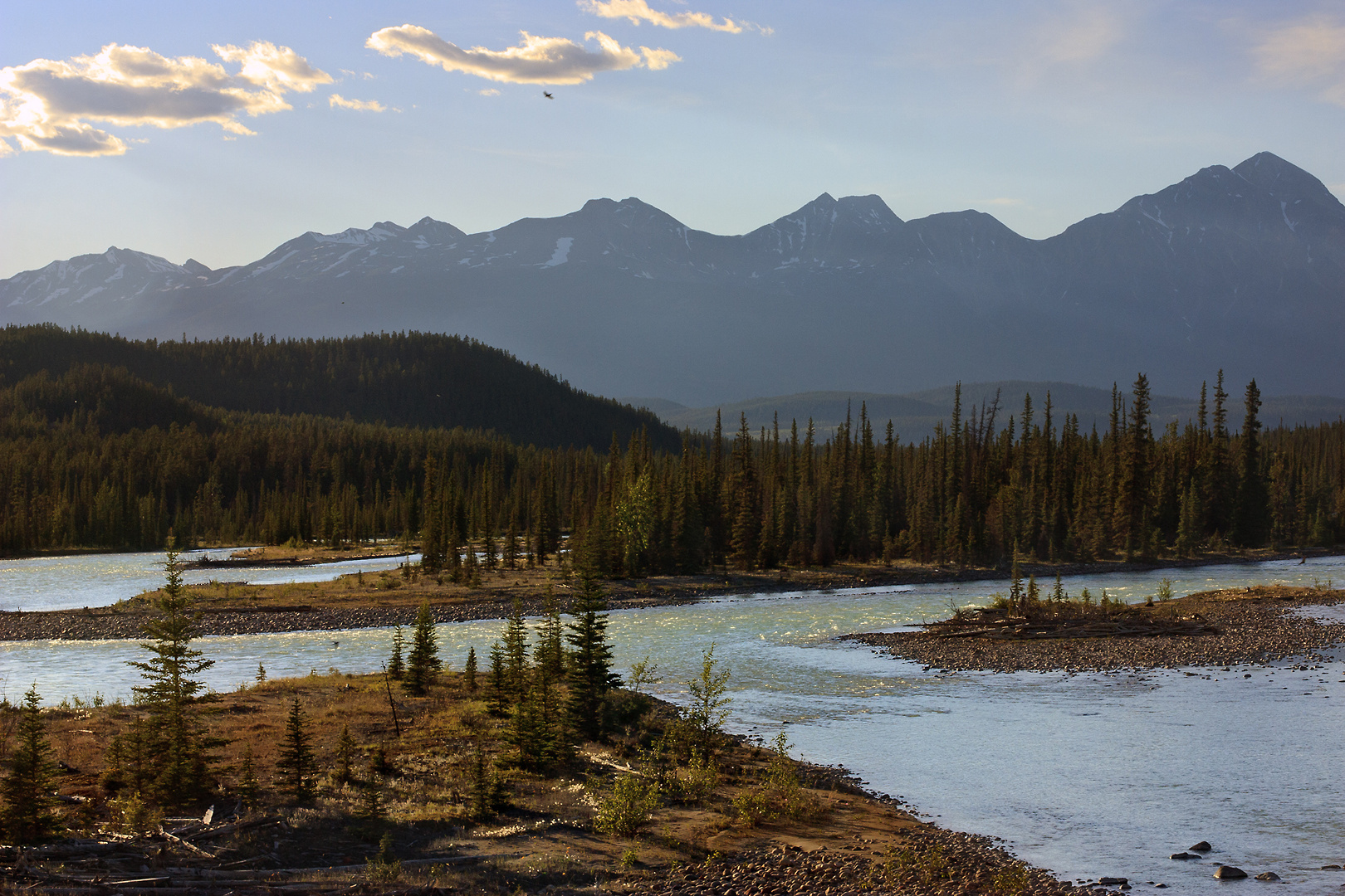 ohne Titel (Athabasca River and the Victoria Cross Range II) 2010