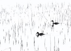 Ohne Titel