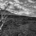 Ohne Titel. Isle of Skye. Schottland.