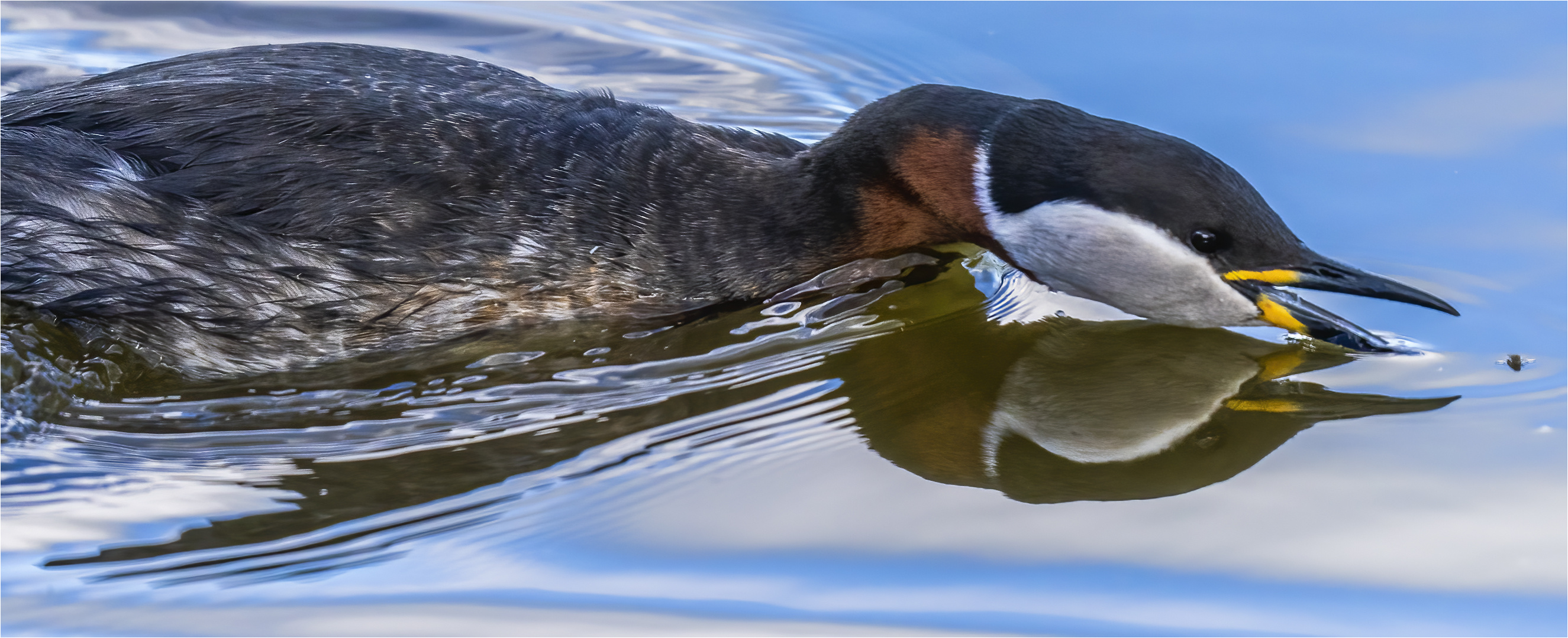 … Ohne Wasser geht es bekanntlich nicht …