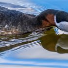 … Ohne Wasser geht es bekanntlich nicht …