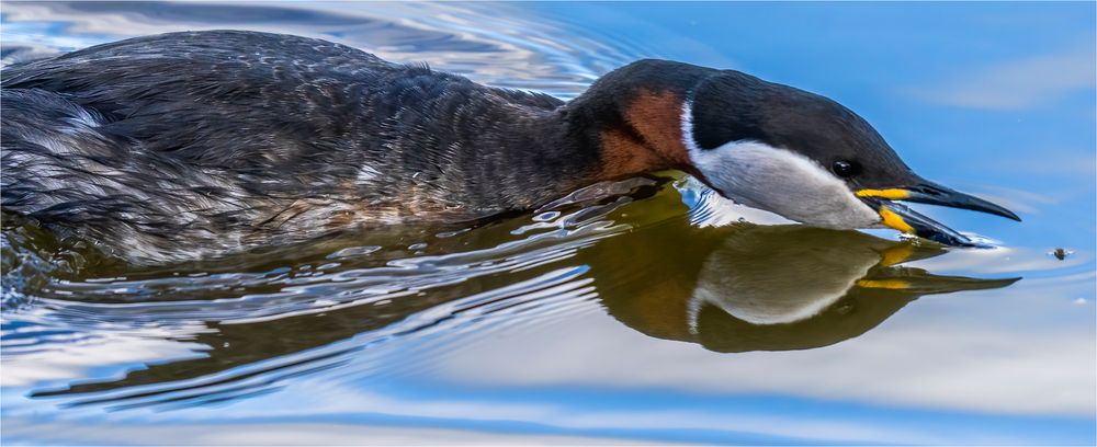 … Ohne Wasser geht es bekanntlich nicht …