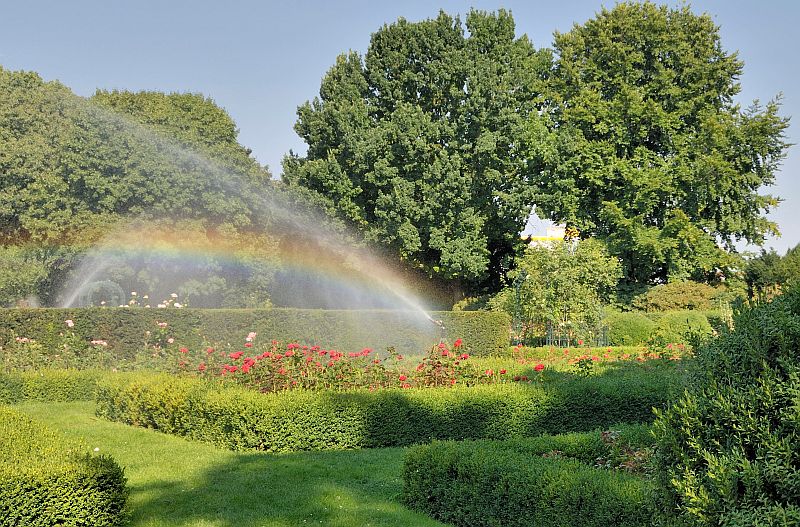 Ohne Wasser geht nichts !