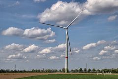 Ohne Wind nichts los .... am Niederrhein