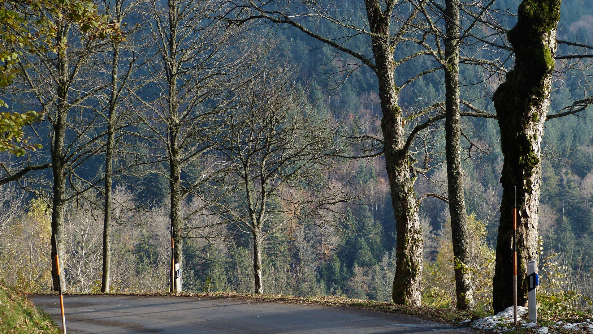 ohne Winterreifen im Schwarzwald an Silvester 2015