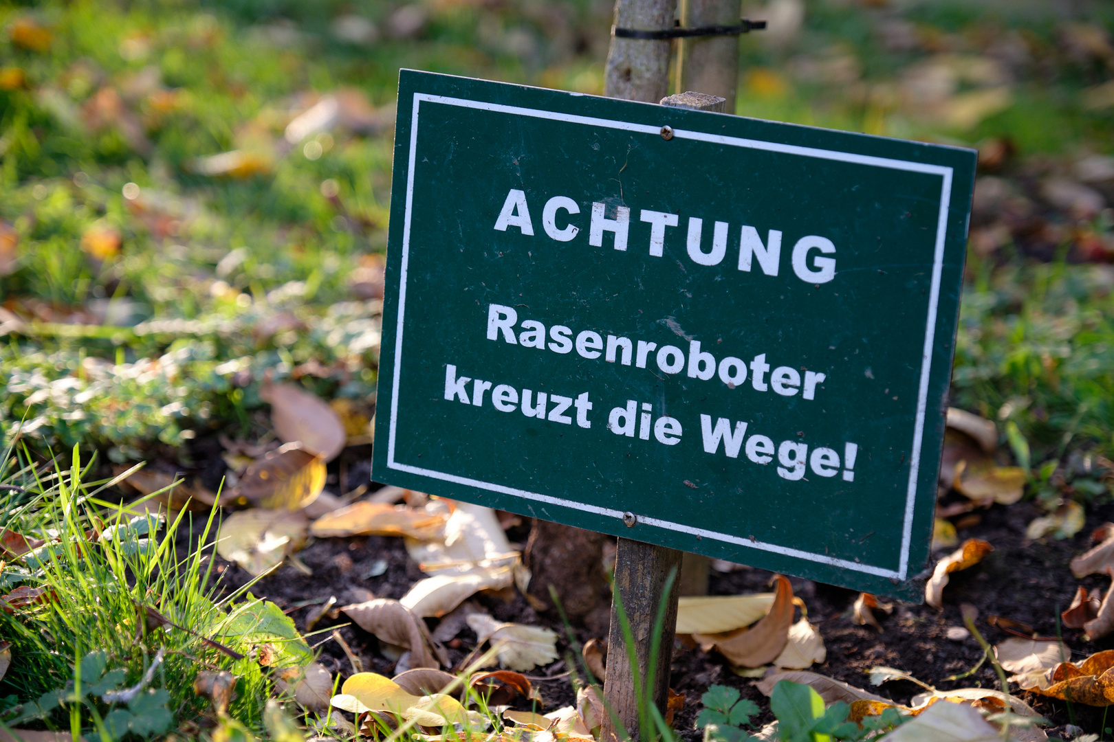 Ohne Worte&hellip; Foto &amp; Bild quatsch, fun und rätselecke, reportage