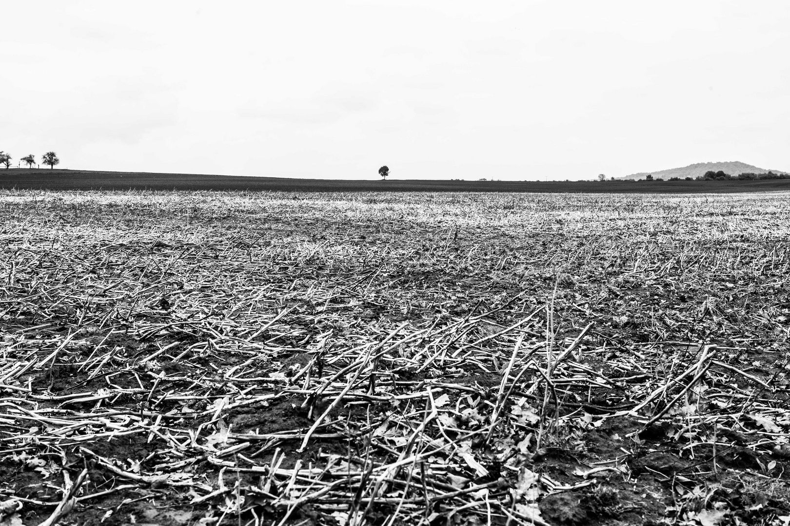 Ohne Ziel Kein Leben Foto Bild Landschaft Acker Felder Wiesen Ziel Bilder Auf Fotocommunity