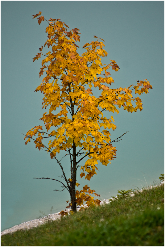 ohne Zweifel Herbst