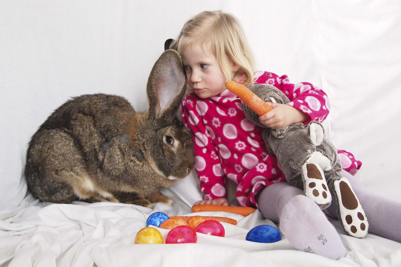 ohr an ohr mit dem osterhase