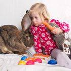 ohr an ohr mit dem osterhase