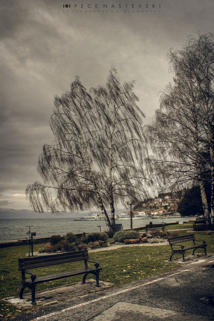 Ohrid Shore