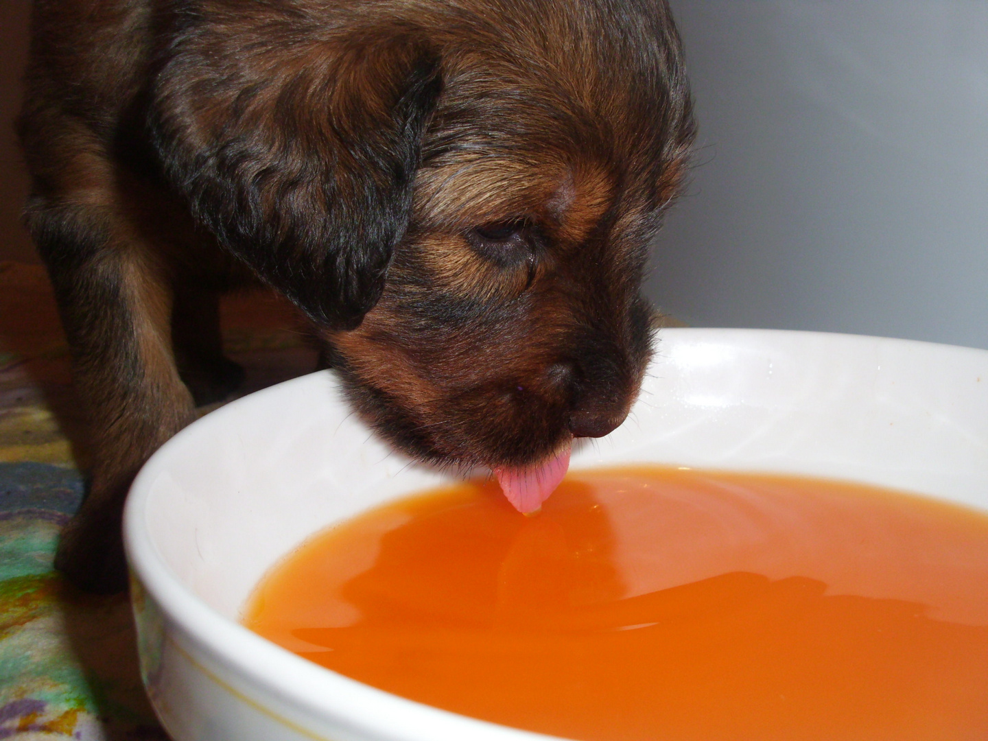 Oh,wie lecker, Möhrensaft !