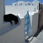 Oia