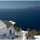 Oia - flowers on a misty day