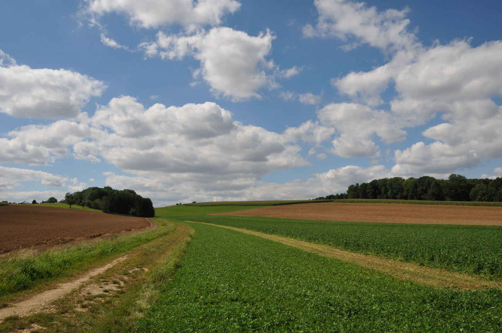 Oichfach schee in Thalfingen