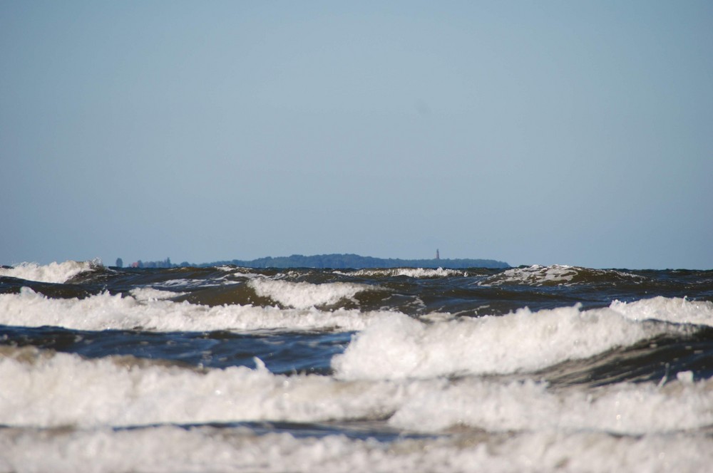 Oie Oie Oie   , die Greifswalder