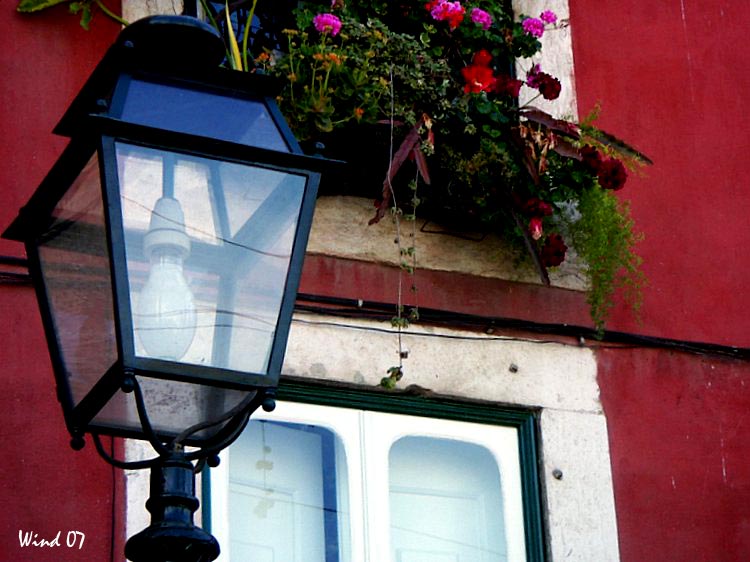 Oil lamp and flowers