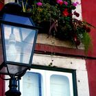 Oil lamp and flowers