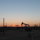 oil pumps
