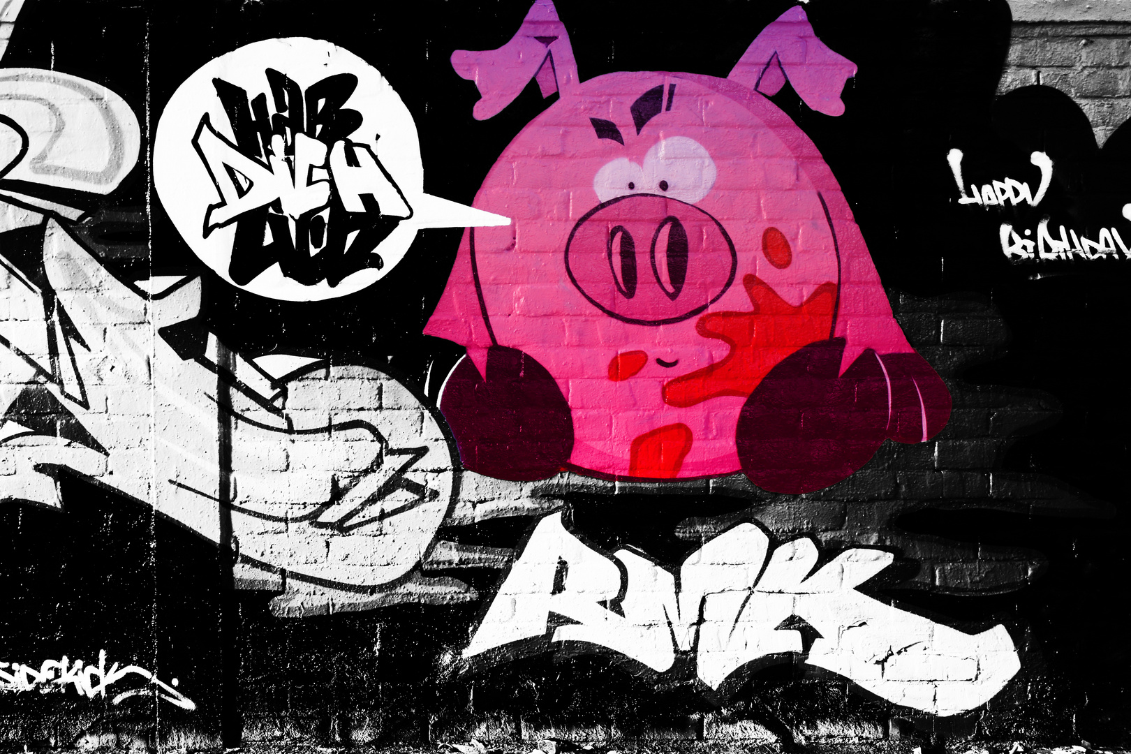 Oink Oink