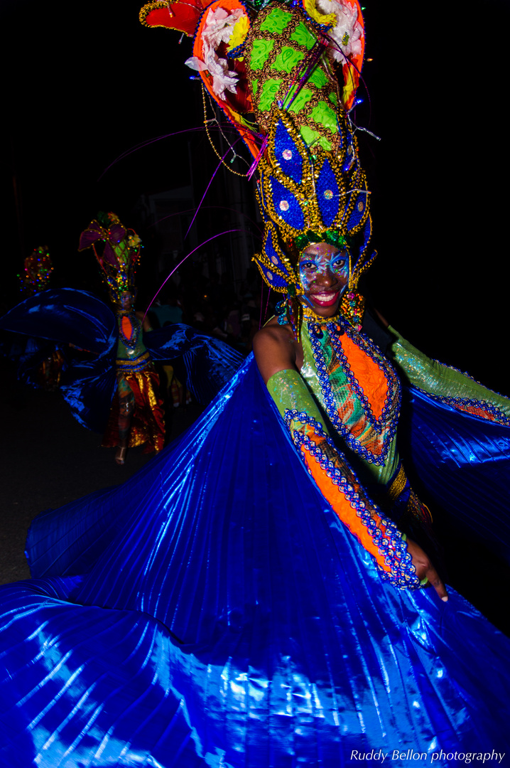 Oiseau bleu de mardi gras