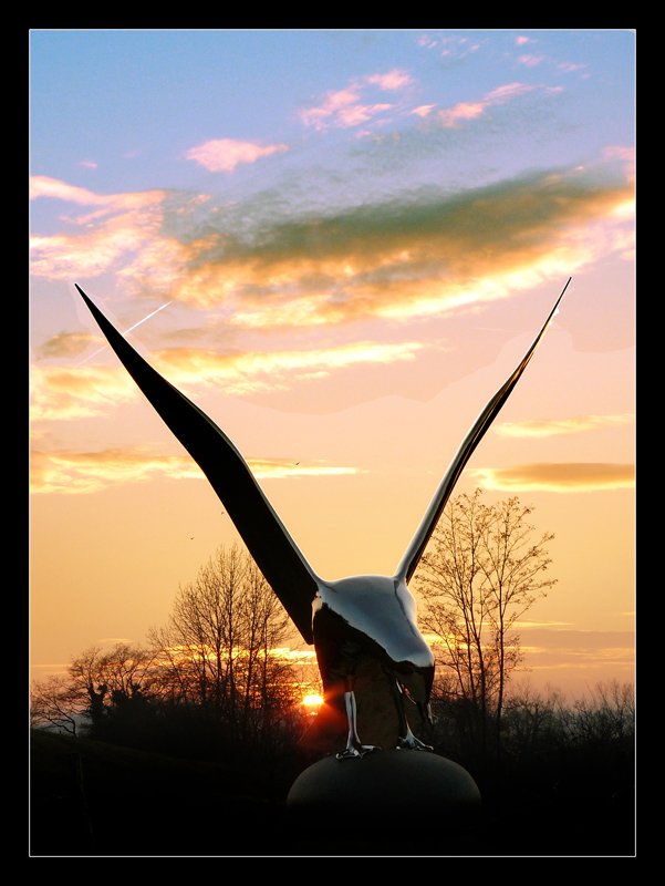 Oiseau né du métal et du feu