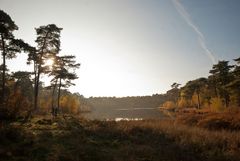 Oisterwijk - Oisterwijkse Bossen en Vennen - 25