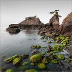 oita coastline