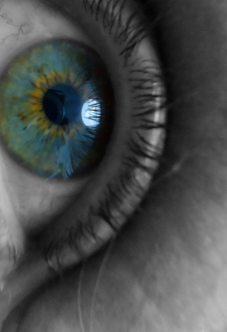 ojo humano vs ojo optico