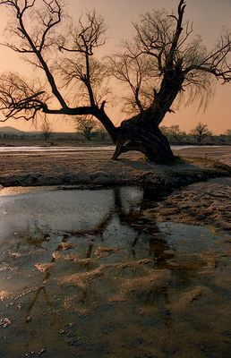 Ojo, que nos mira!!!
