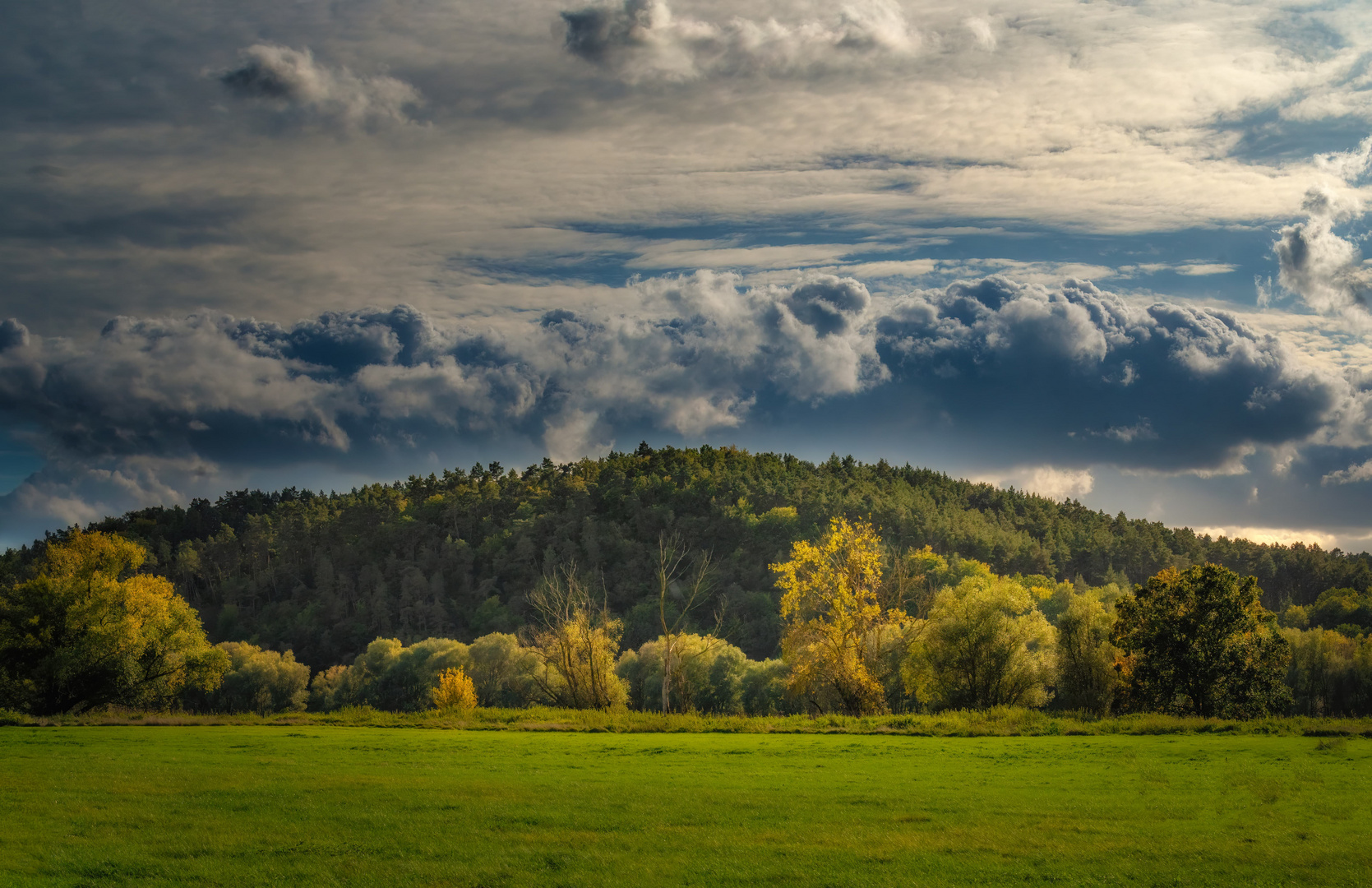 Ok, es wird Herbst an der Elbe 