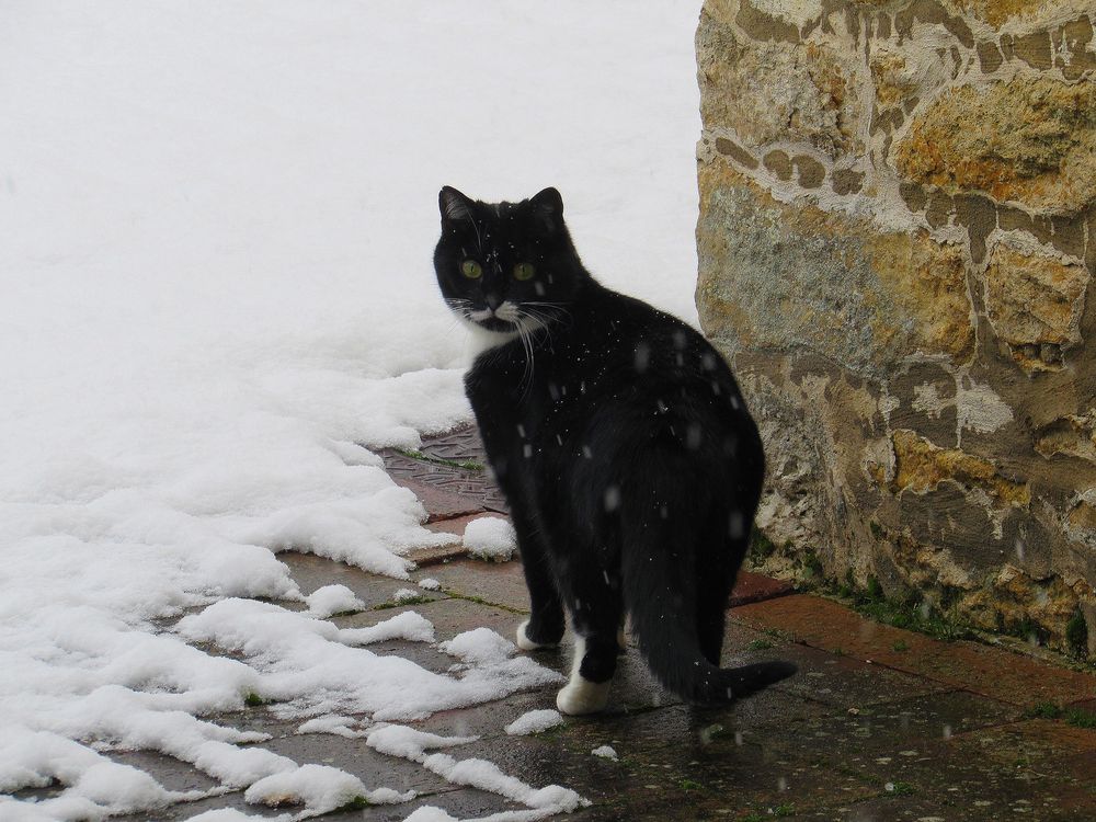 ..Ok, je sors, mais pas longtemps...