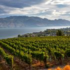 Okanagan Lake - British Columbia