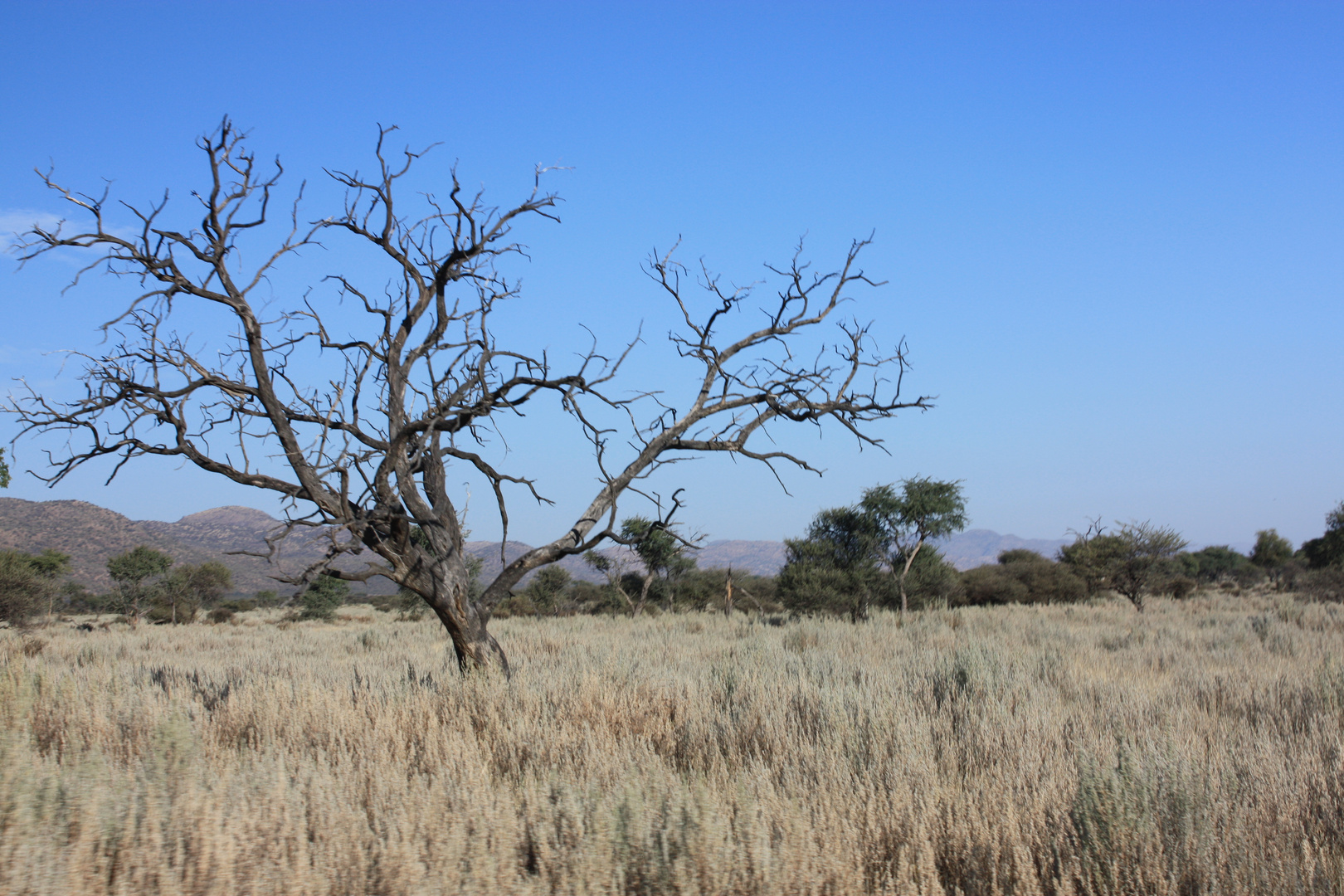 Okapuka-Ranch