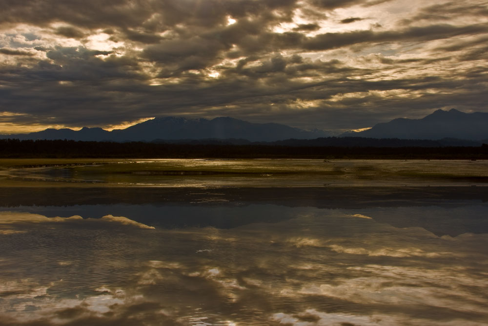 Okarito Lagoon IV