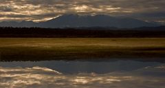 Okarito Lagoon Panorama