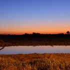 Okaukejo Waterhole