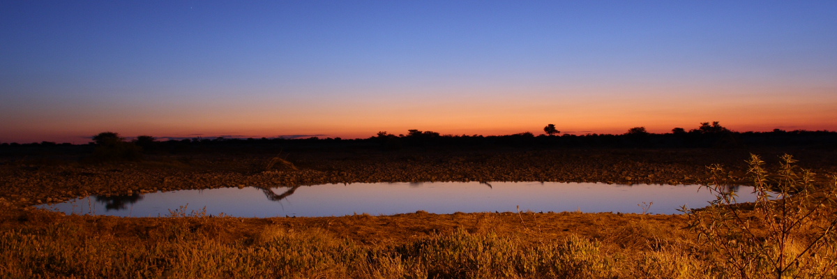 Okaukejo Waterhole