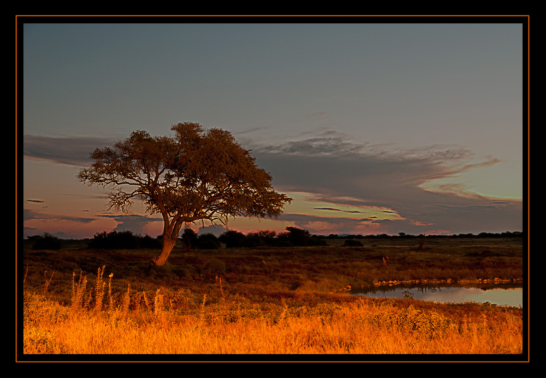 Okaukuejo Wasserloch