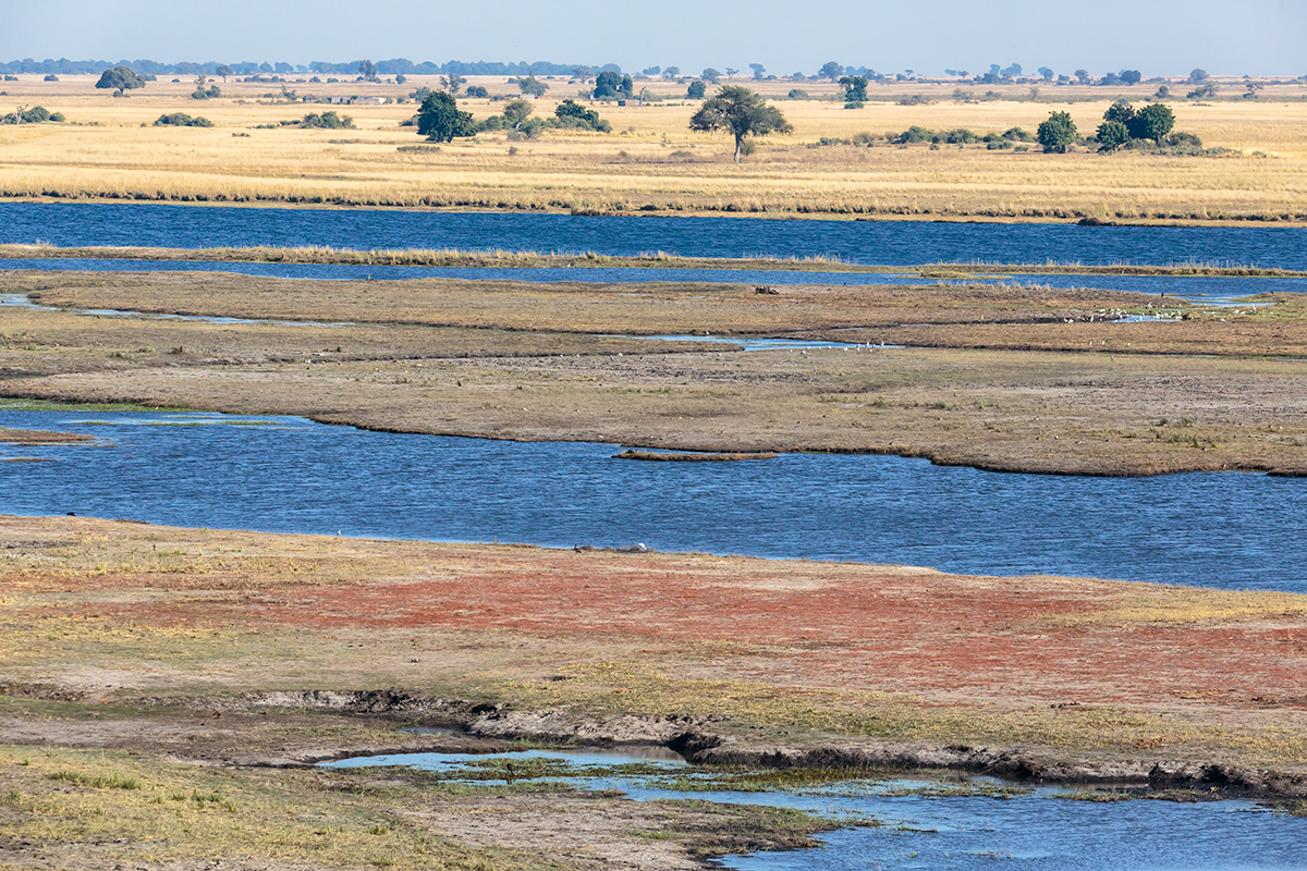 Okavango