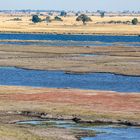 Okavango