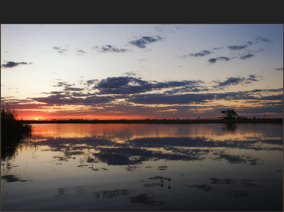 Okavango