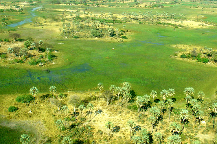 Okavango Delta