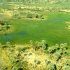 Okavango Delta