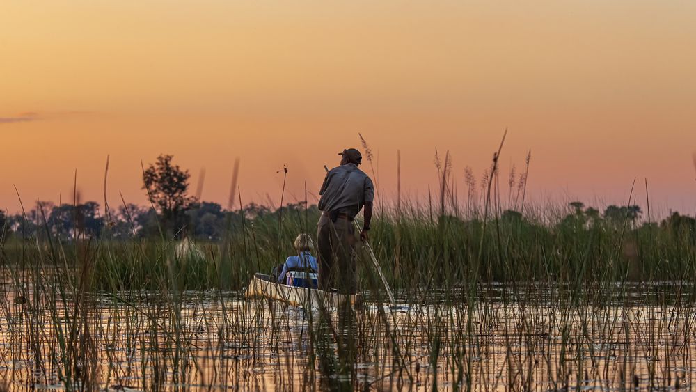 Okavango Delta-095
