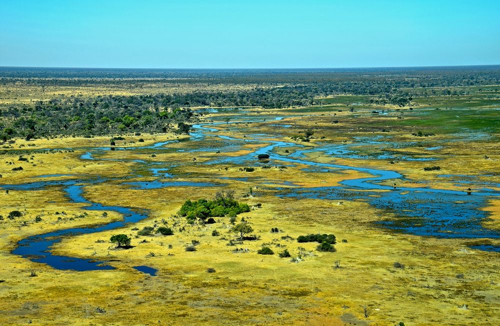 Okavango Delta